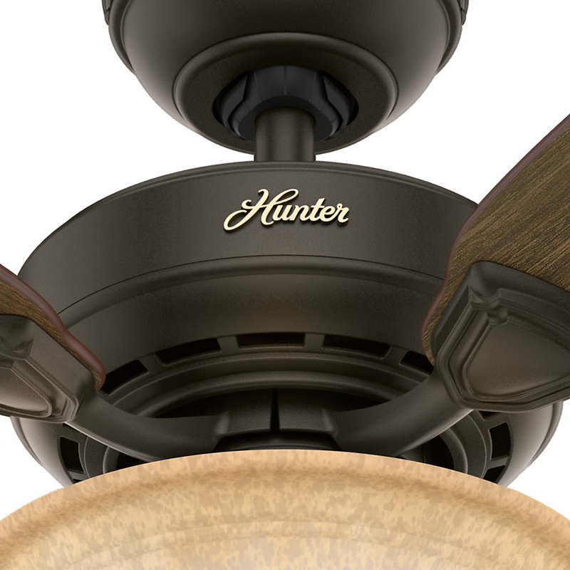 Hunter Fan 44" Auberville 5Blade Ceiling Fan & Reviews Wayfair